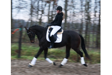 Edelrijke (VERKOCHT) Edelrijke (VERKOCHT)